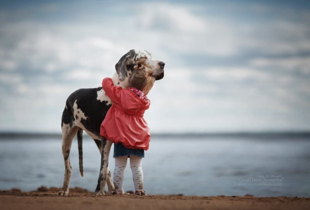 Questa è un'immagine di un bimbo e un cane