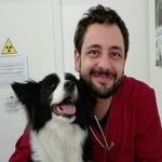 veterinario-giuseppe-defilippis