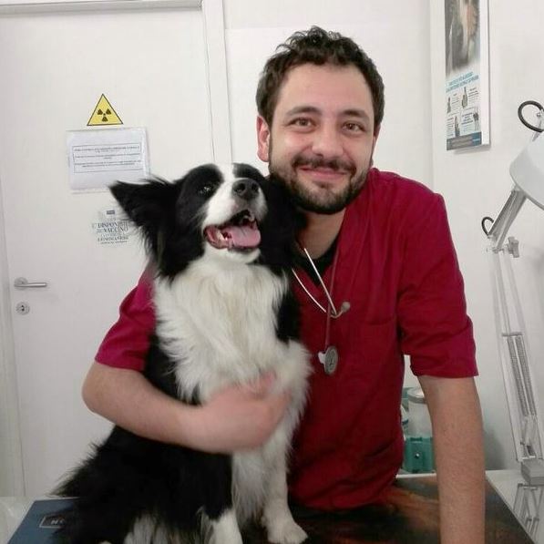 Giuseppe Defilippi veterinartio on line