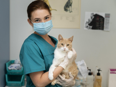 vaccino gatto a domicilio